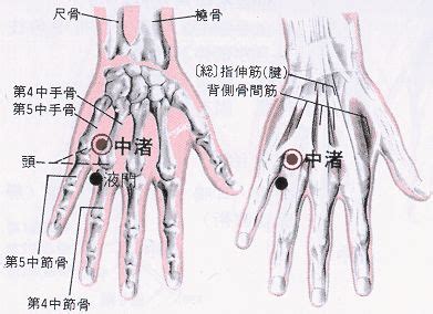 奇門穴位置|醫砭 » 經穴庫 » 期門